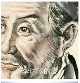 李时珍的皮