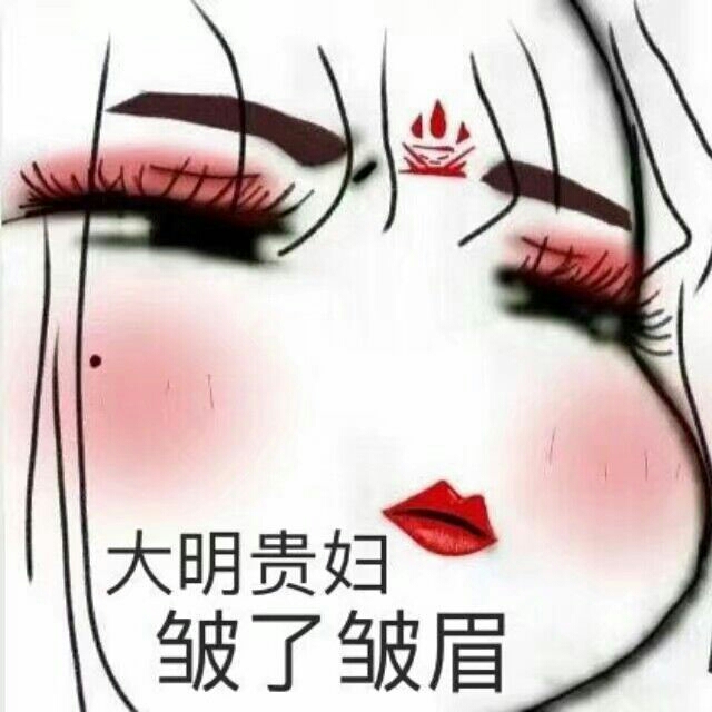 大明贵妇皱了皱眉