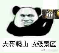 大哥爬山A级景区