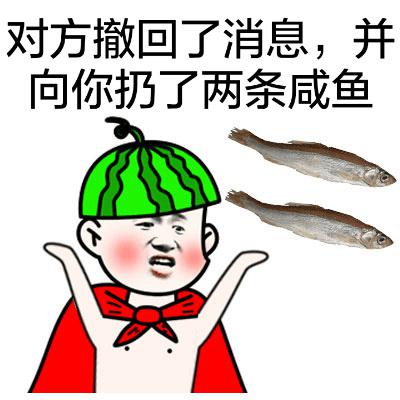 对方撤回了消息，并向你扔了两条成鱼