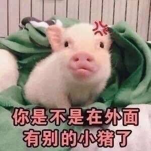 你是不是在外面有别的小猪了