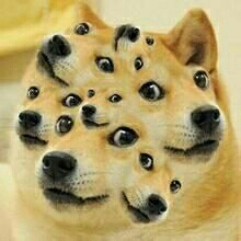 满脸doge