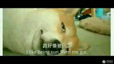 我好像被日了（doge）