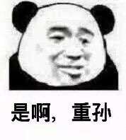 是啊，重孙