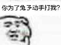 你为了兔子动手打我？
