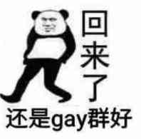 回来了，还是gay群好