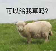 可以给我草吗？