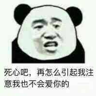 死心吧，再怎么引起我注意我也不会爱你的