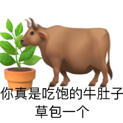 你会喜欢的搞笑表情包合集 好看又搞笑的表情大全