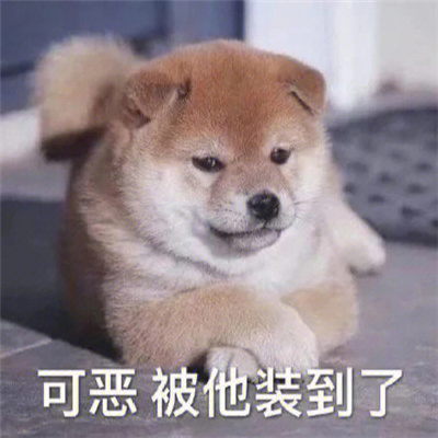 超可爱又很实用的表情大全 很火的趣味搞笑表情最新2022