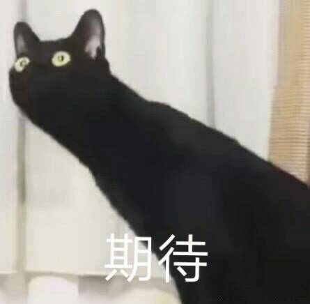 期待