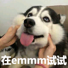 再emmm试试