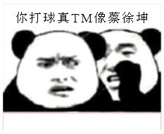 你打球真TM像蔡徐坤