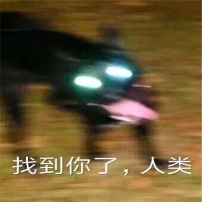 2022趣味十足的微信聊天表情 随风奔跑是自由的方向