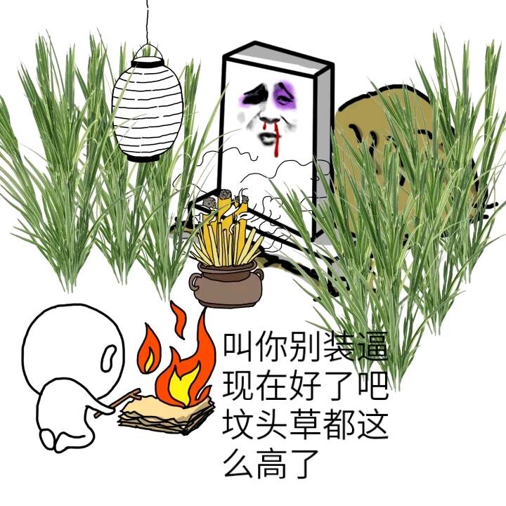 叫你别装逼，现在好了吧，坟头草都这么高了！