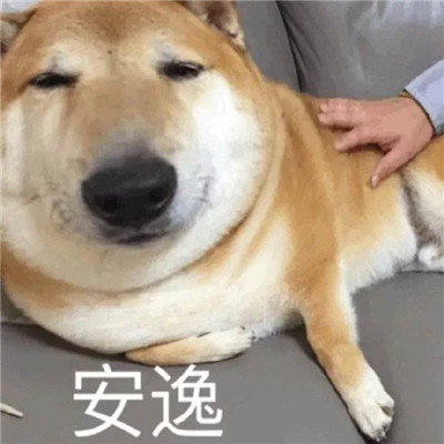 让你收获好心情的沙雕表情 一看就开心的聊天表情