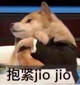 抱紧jio