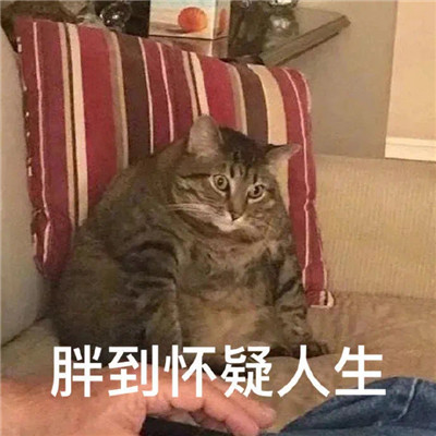 非常搞笑的搞笑表情包最新版 我当时就是想吃特别想吃