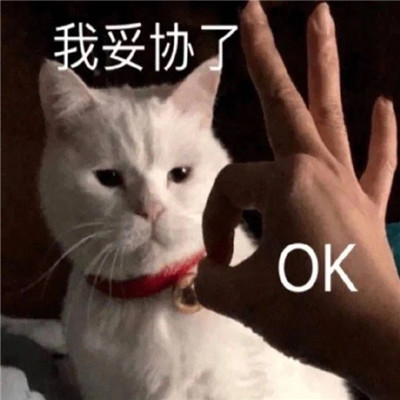 最搞笑逗比微信表情大全 2022全新趣味的聊天表情