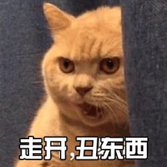 走，丑东西