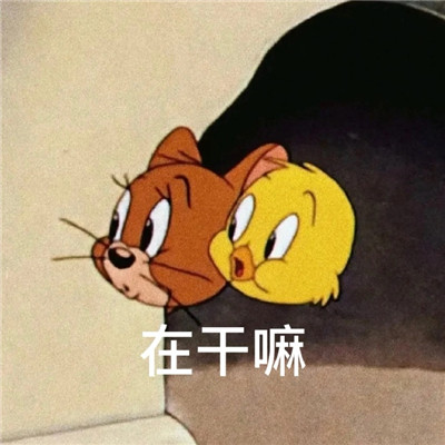 最新沙雕微信聊天表情大全 我可以打你的注意吗