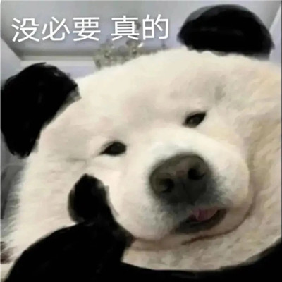 微信幽默表情包大全超级搞笑 舔狗没有情人节