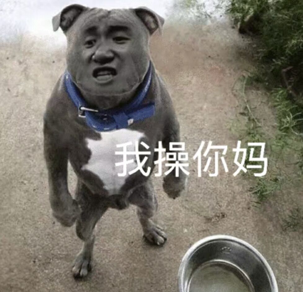 我操你妈