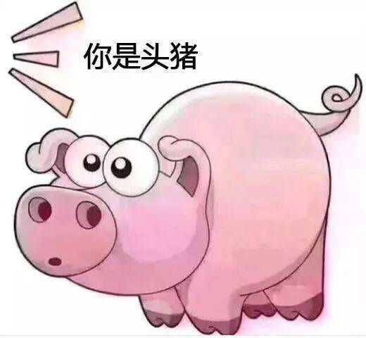 你是头猪