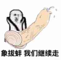 象拔蚌 我们继续走