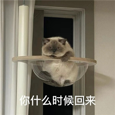 抖音完了芭比q了表情包 很火很有趣味的搞笑聊天表情