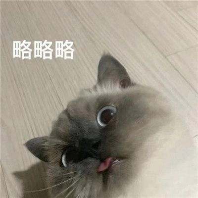 抖音完了芭比q了表情包 很火很有趣味的搞笑聊天表情