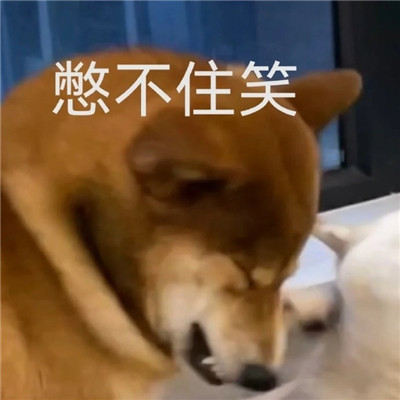 2022最新版微信趣味聊天表情 甜甜的恋爱终于轮到我了