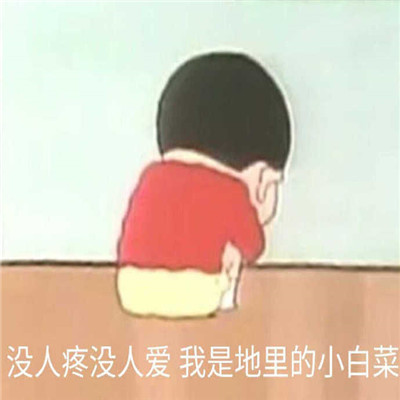 很热门的又很经典的微信表情大全 没人疼也没人爱我是地里的小白菜