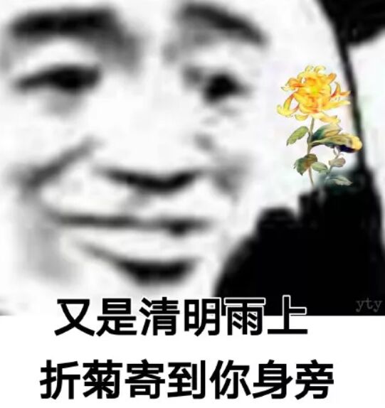 又是清明雨上，折菊寄到你身旁