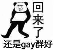 回来了，还是gay群好