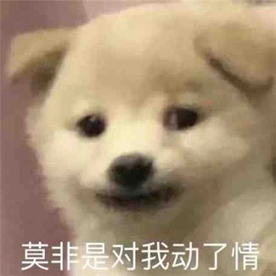 超级有趣的热门的搞笑表情大全 莫不是对我动了情