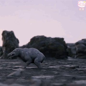 b站很火的动态幼年奥特曼表情包 我来拯救地球啦