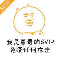 我是尊贵的SVIP，免疫任何攻击！