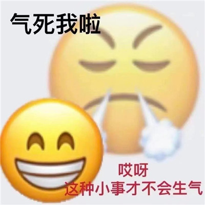 emoji双面表情包超级有趣 很有趣的热门的emoji双面表情合集