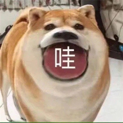 最新的有趣微信聊天表情大全 超级热门的好笑聊天表情