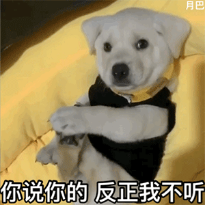 实用又超级萌的动态聊天表情 最新版可爱gif表情精选合集