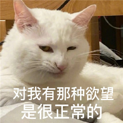 最新版油腻猫咪表情包大全 对我有那种欲望是很正常的