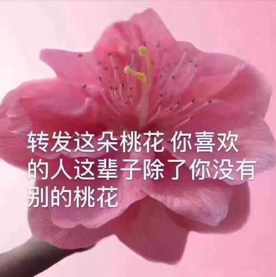 转发这朵桃花，你喜欢的人这辈子除了你，没有别的桃花