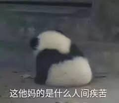 这他妈的是什么人间疾苦