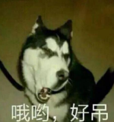 哦哟，好吊