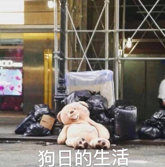 狗日的生活