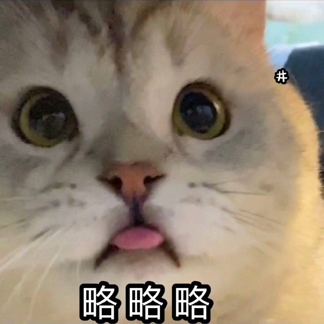 略略略