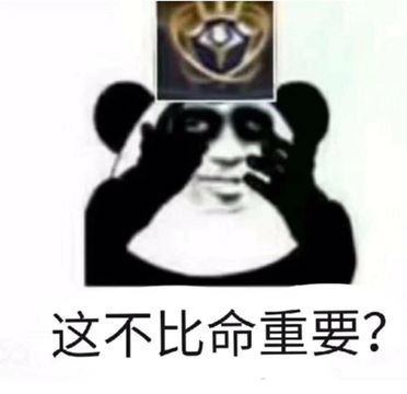 这不比命重要？