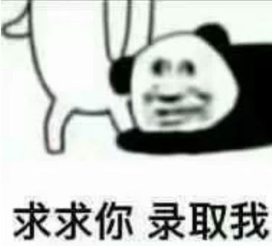 求求你录取我