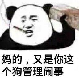 妈的，又是你这个狗管理闹事